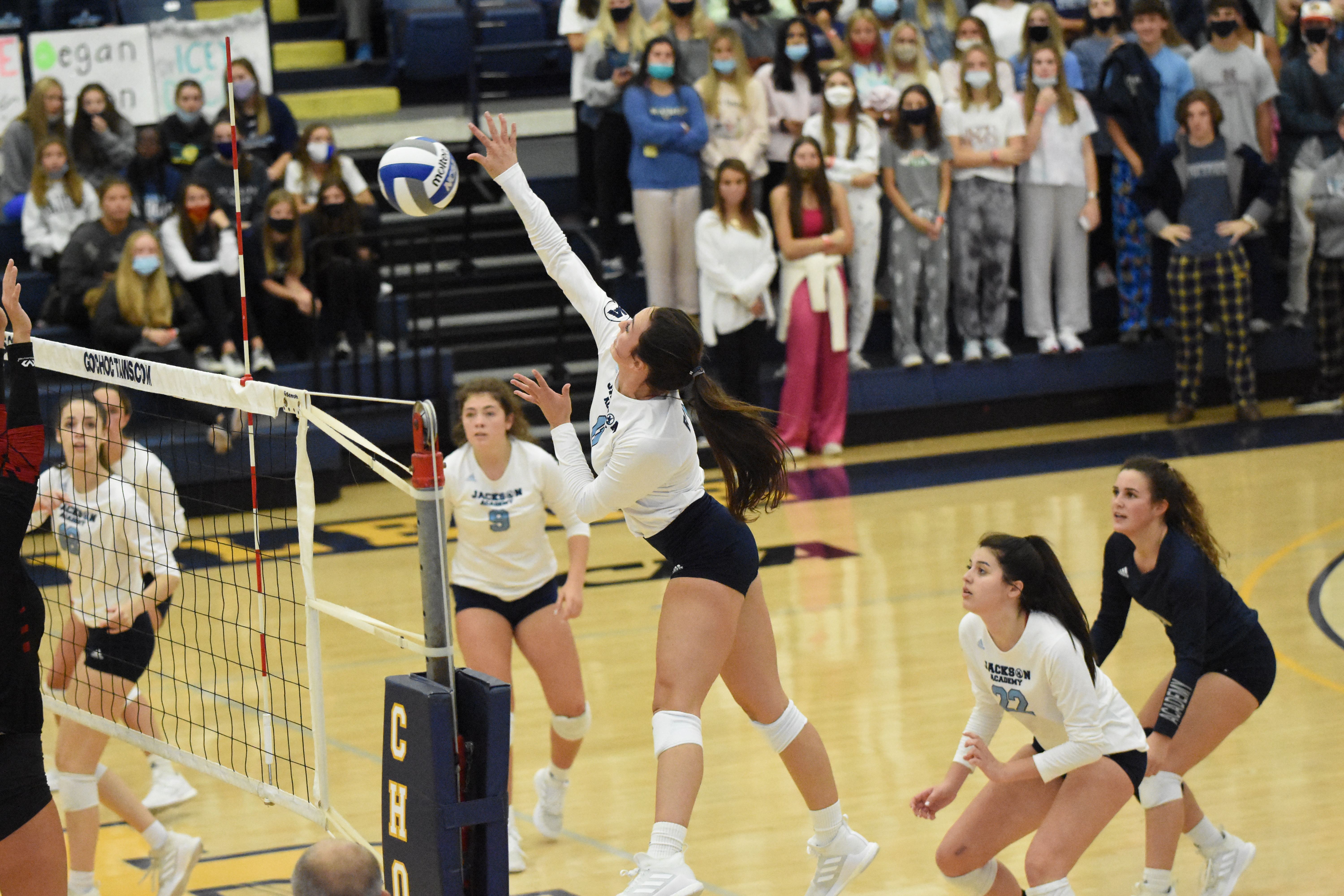 Bracken - Best in MS